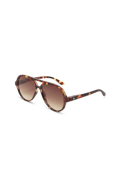 ALESSIO SUNGLASSES CLASSIC HAVANA