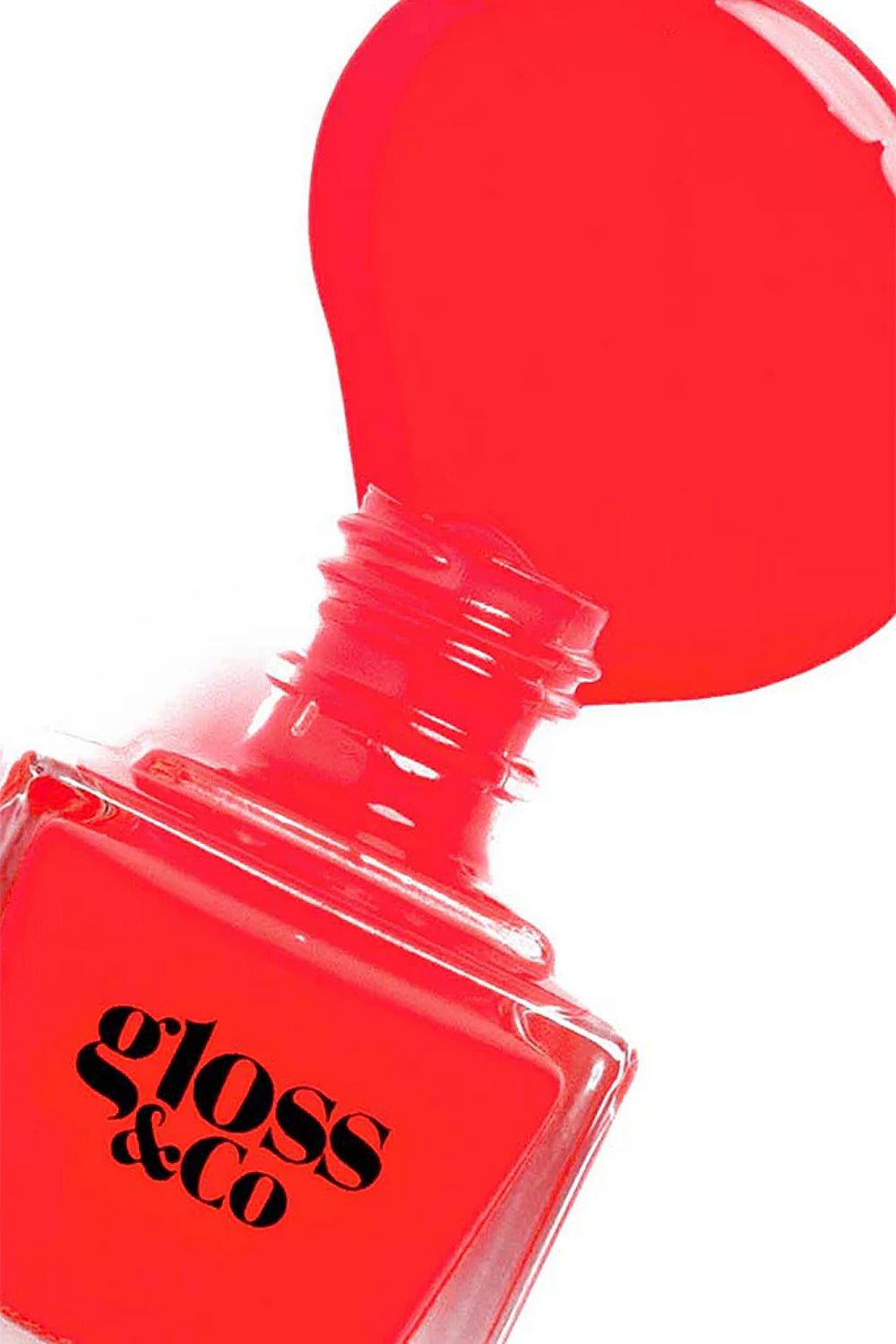 GLOSS & CO BIJAN