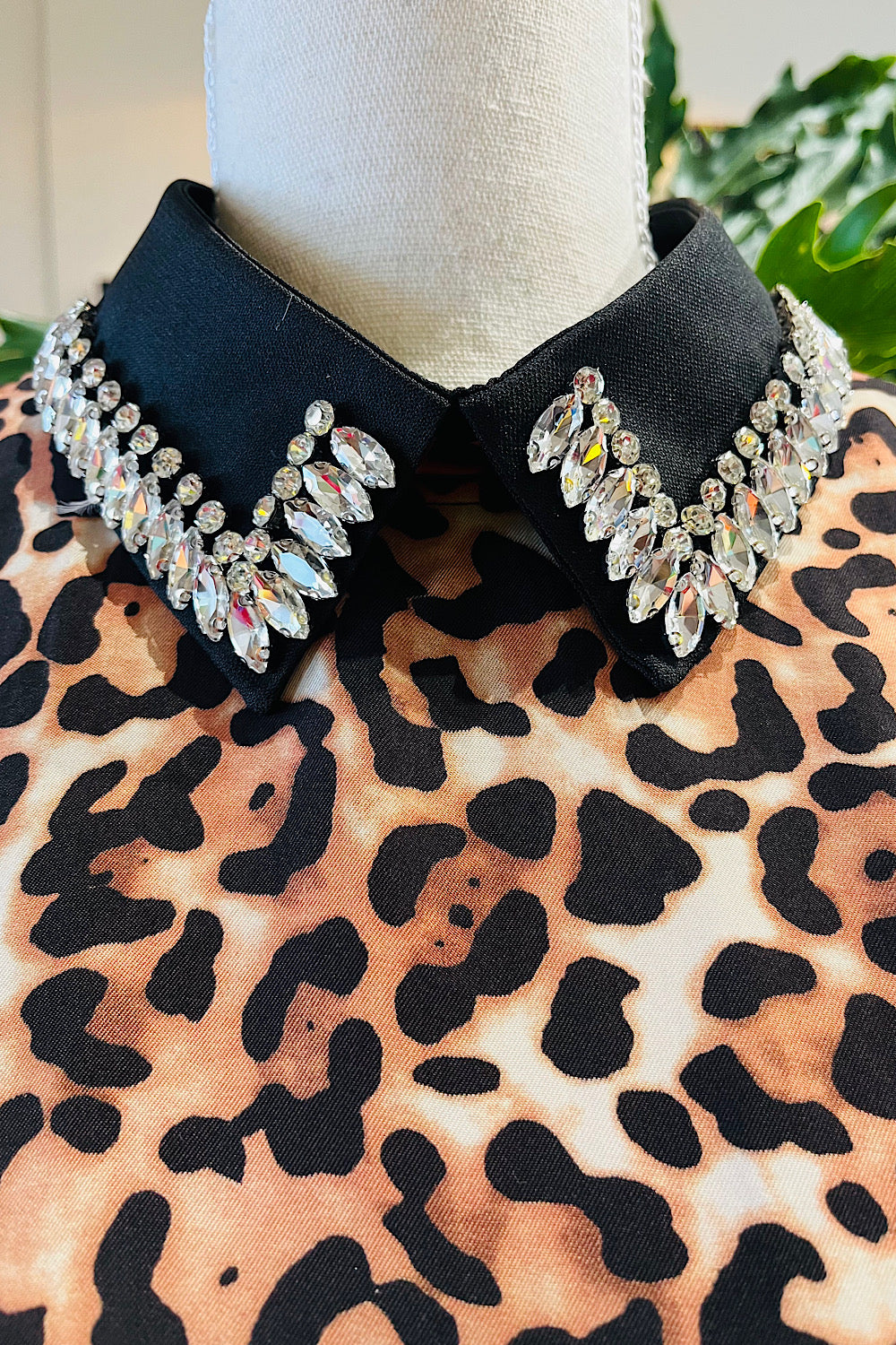 POP YA COLLAR COCKTAIL HOUR BLACK