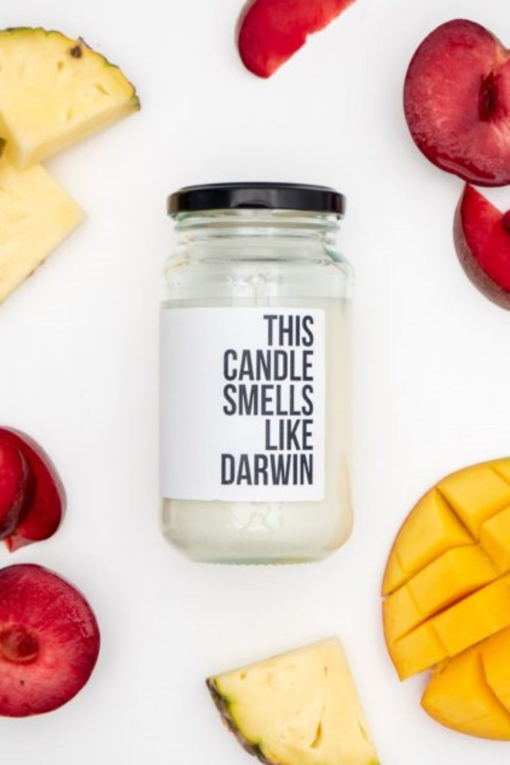 THIS CANDLE SMELLS LIKE DARWIN